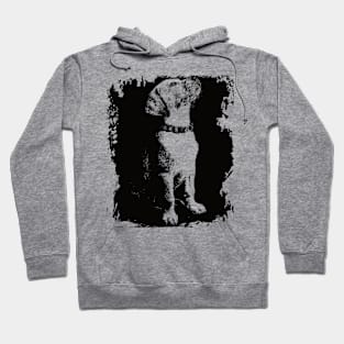 Cool dog Hoodie